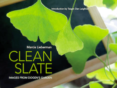 Clean Slate by Marcia Lieberman